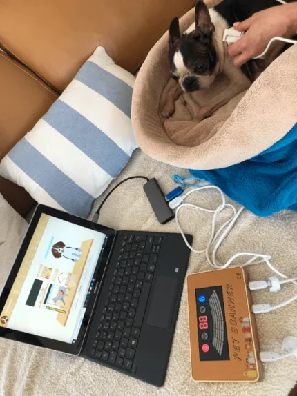 NeueWeltShop_frequenzen_Pet_Scanner_Generator_Hund