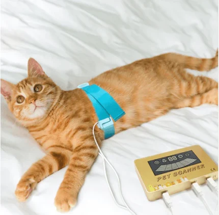 NeueWeltShop_frequenzen_Pet_Scanner_Generator_Katze